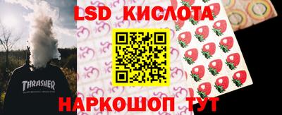 прущие грибы Славянск-на-Кубани