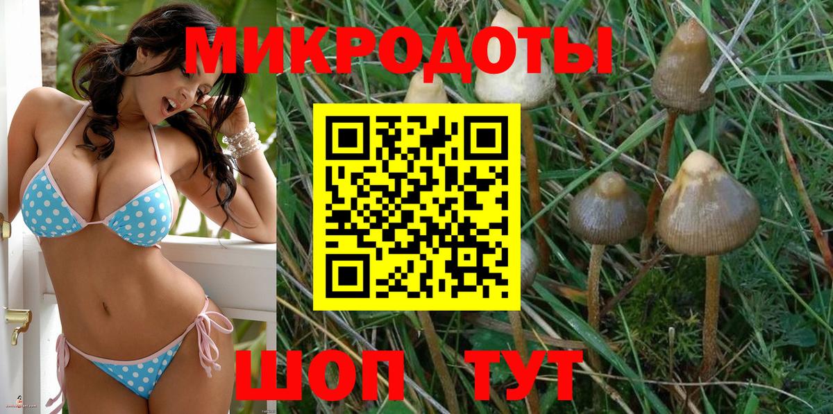 Отрадное  Псилоцибиновые грибы MAGIC MUSHROOMS  Вход с VPN 